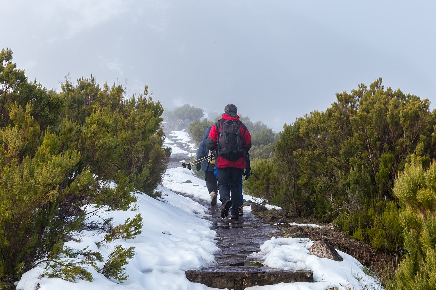 Kuwari Pass Pangarchula Trek